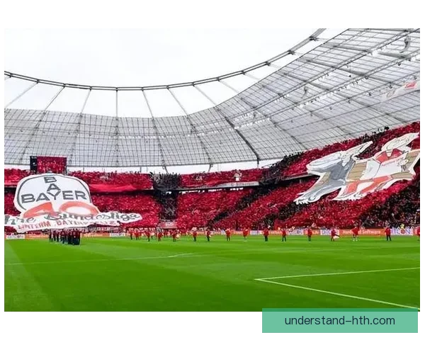 拜耳勒沃库森新赛季布局提速球队引援与战术升级受关注持续发酵