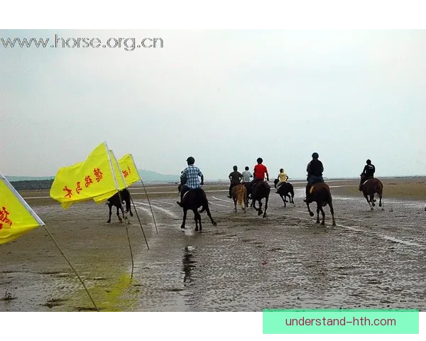 网球界最新动态：顶级选手赛场风云与未来对决展望