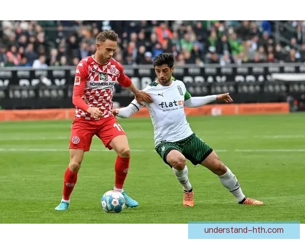 美因茨05俱乐部发展历程与未来展望：从保级之路到国际赛场的崭新挑战