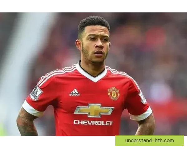 五大联赛权威数据平台全面分析与比较