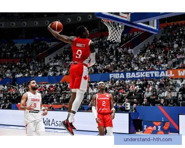 加拿大世界杯盛况回顾：从赛事到球迷文化的全面解读